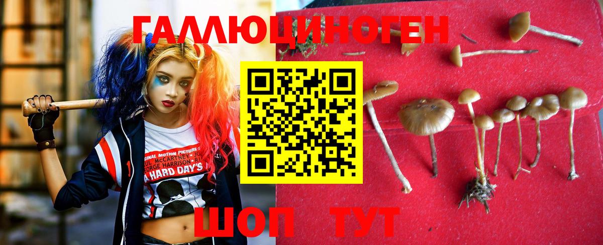 Королёв  Галлюциногенные грибы Magic Shrooms  Вход с VPN  Псилоцибиновые грибы прущие грибы 